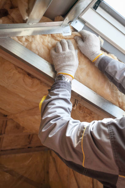 Best Insulation Maintenance and Repair in Shadow Lake, WA