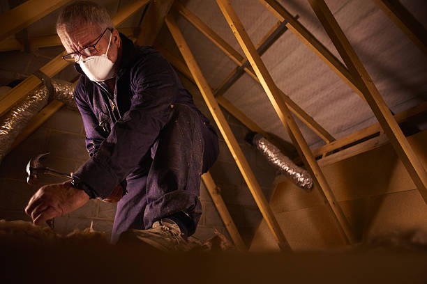 Best Types of Insulation in Shadow Lake, WA
